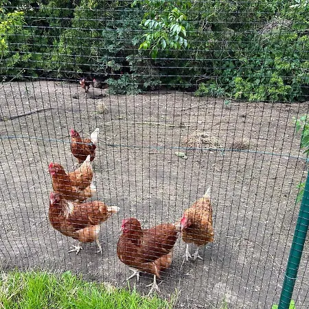 Am Spatzennest 4